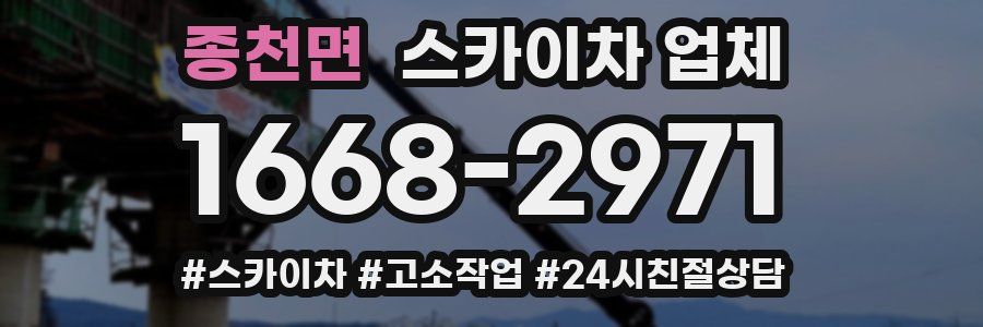종천면 스카이차 업체