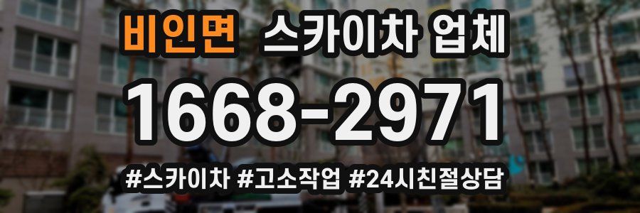 비인면 스카이차 업체