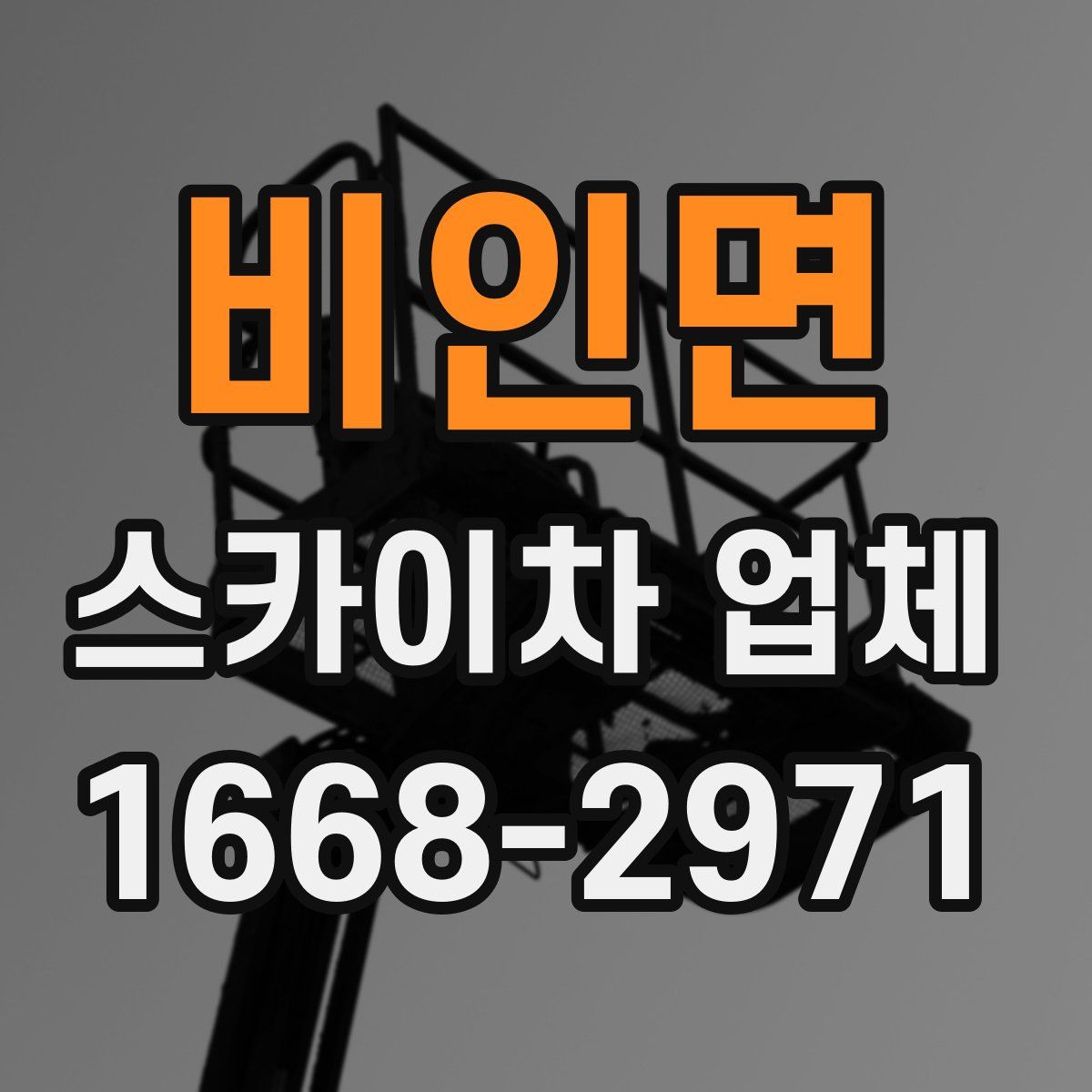 비인면 스카이차 업체
