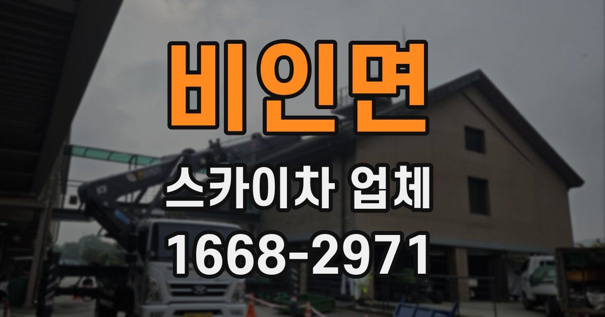 비인면 스카이차 업체