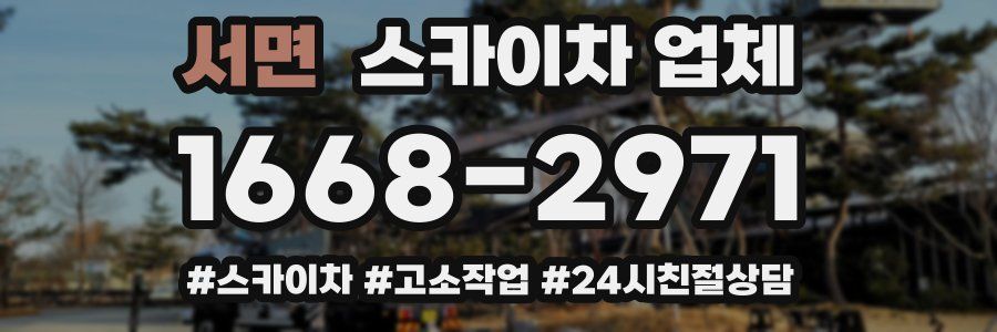 서면 스카이차 업체