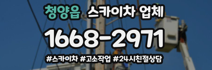 청양읍 스카이차 업체