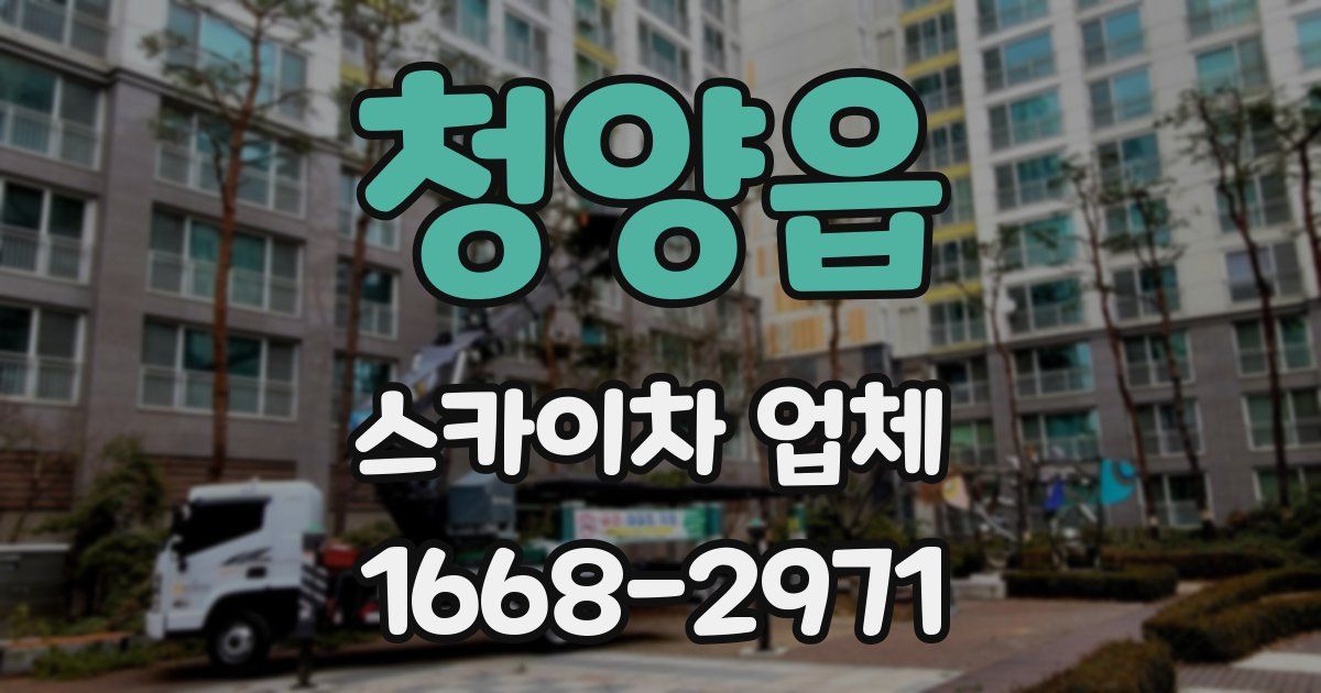청양읍 스카이차 업체