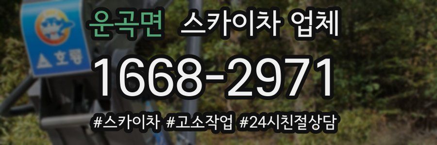 운곡면 스카이차 업체