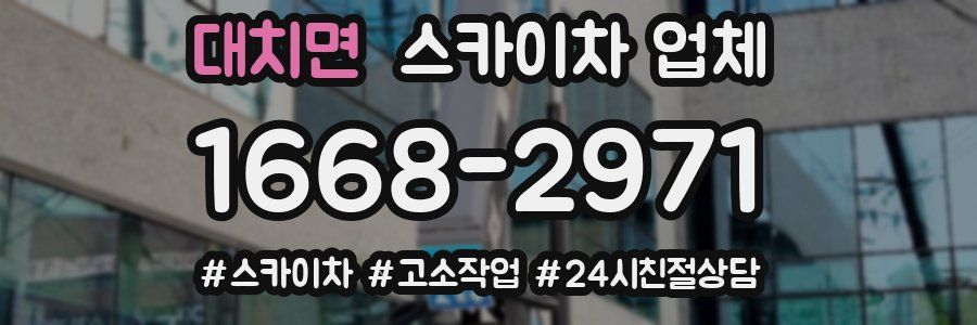 대치면 스카이차 업체