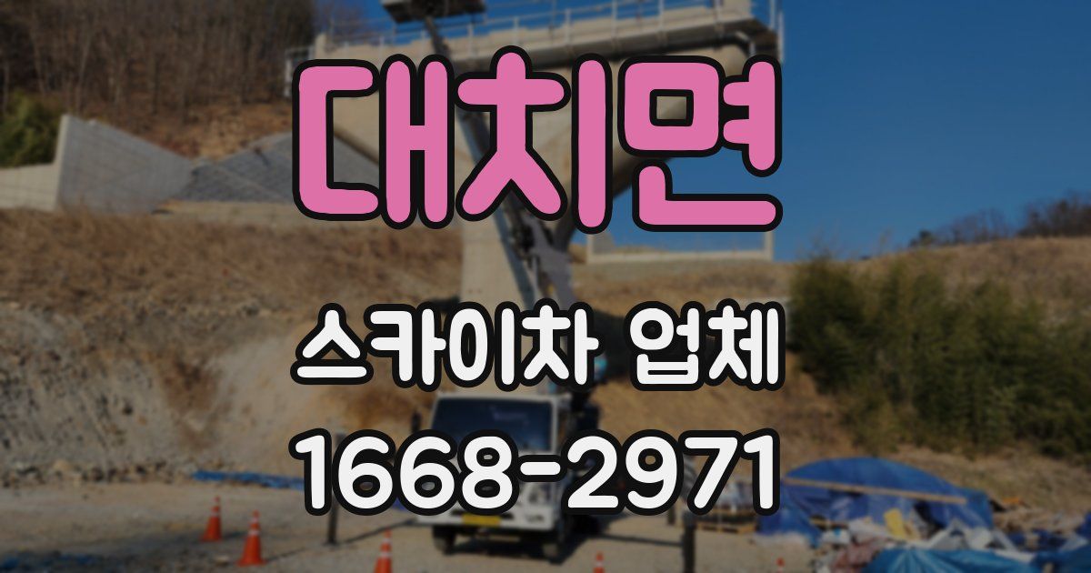 대치면 스카이차 업체