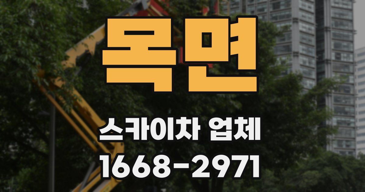 목면 스카이차 업체