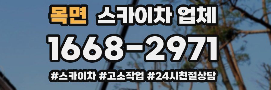 목면 스카이차 업체