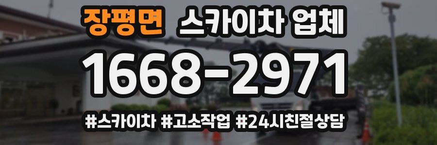 장평면 스카이차 업체