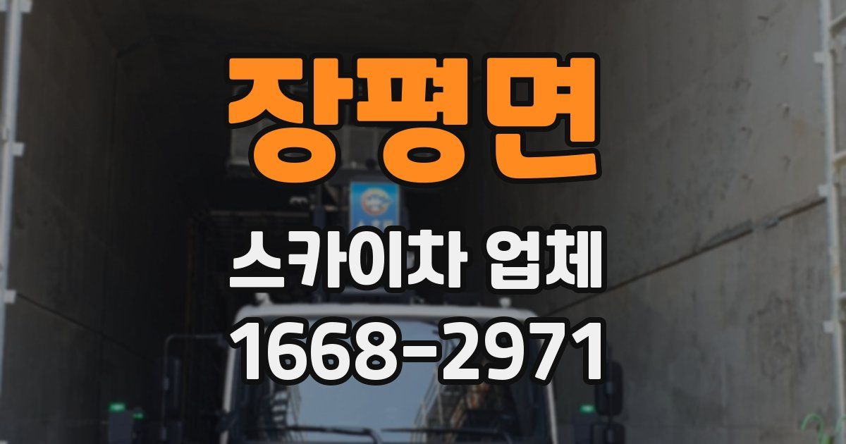 장평면 스카이차 업체