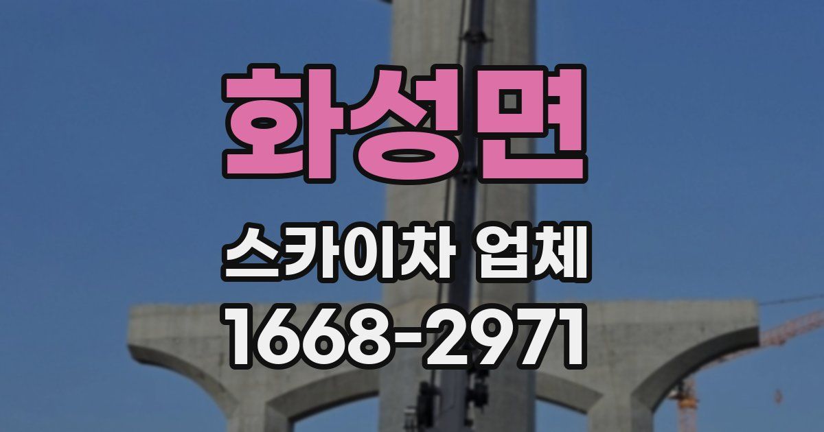 화성면 스카이차 업체