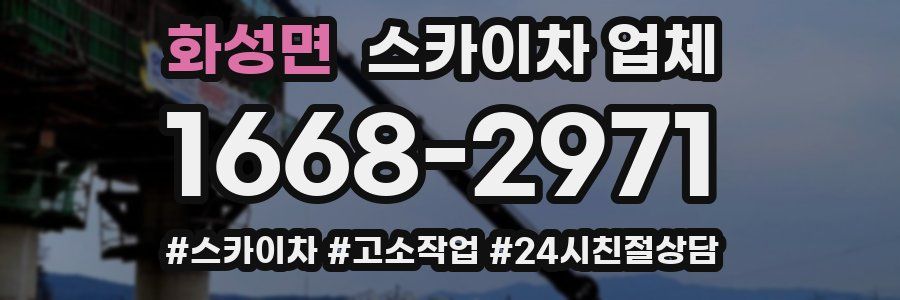 화성면 스카이차 업체