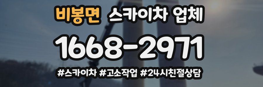 비봉면 스카이차 업체