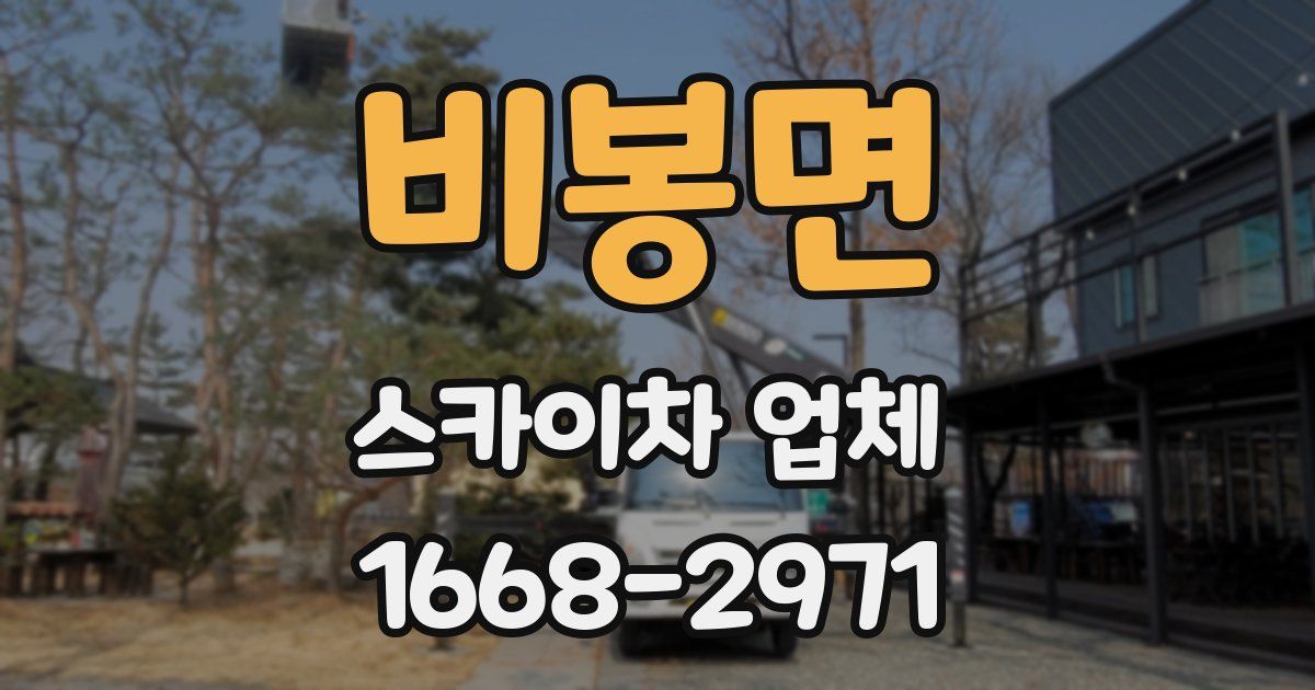 비봉면 스카이차 업체