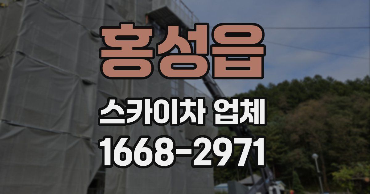 홍성읍 스카이차 업체