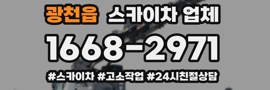 광천읍 스카이차 업체
