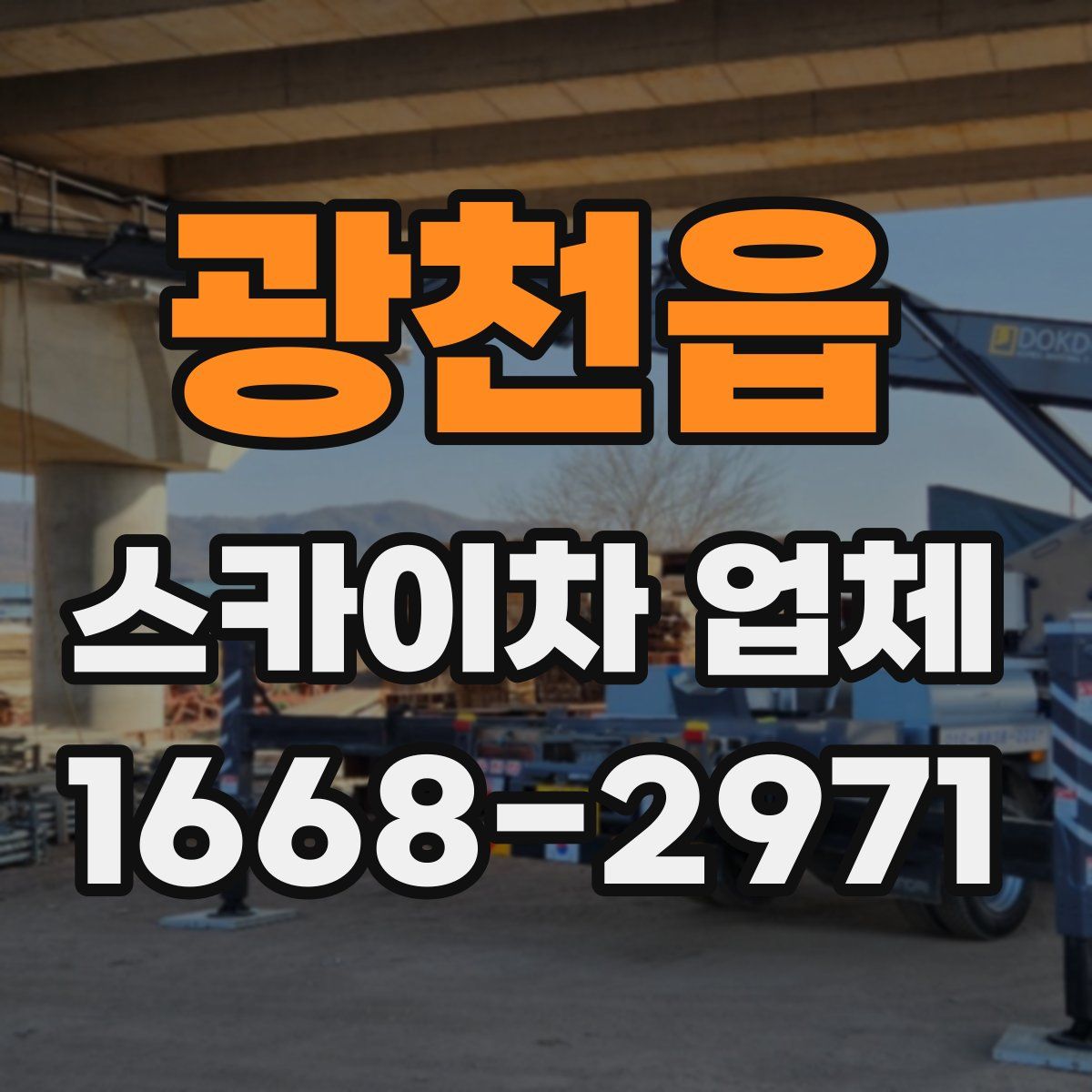 광천읍 스카이차 업체