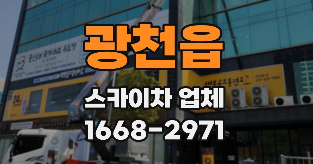 광천읍 스카이차 업체