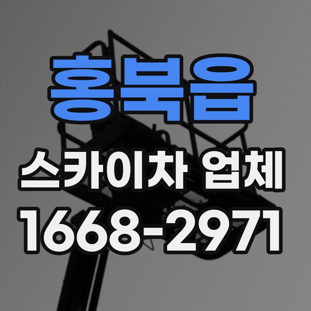 홍북읍 스카이차 업체
