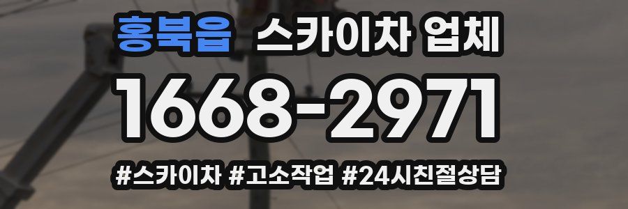 홍북읍 스카이차 업체