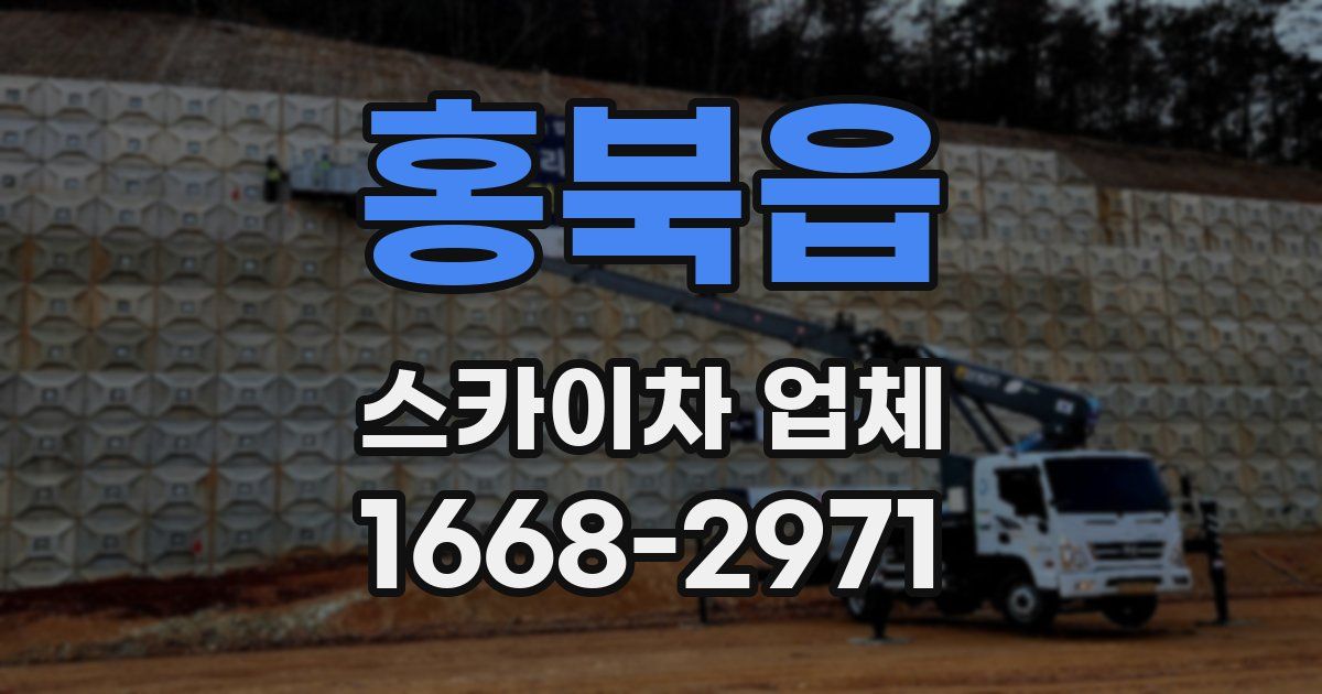 홍북읍 스카이차 업체
