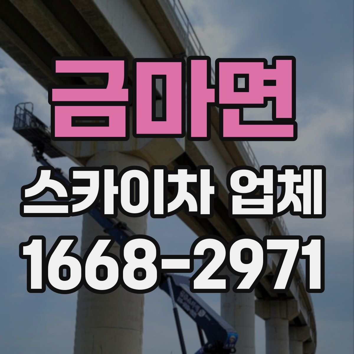 금마면 스카이차 업체