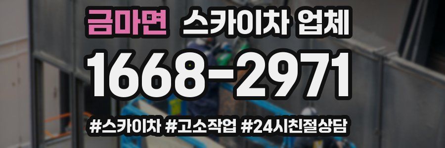 금마면 스카이차 업체