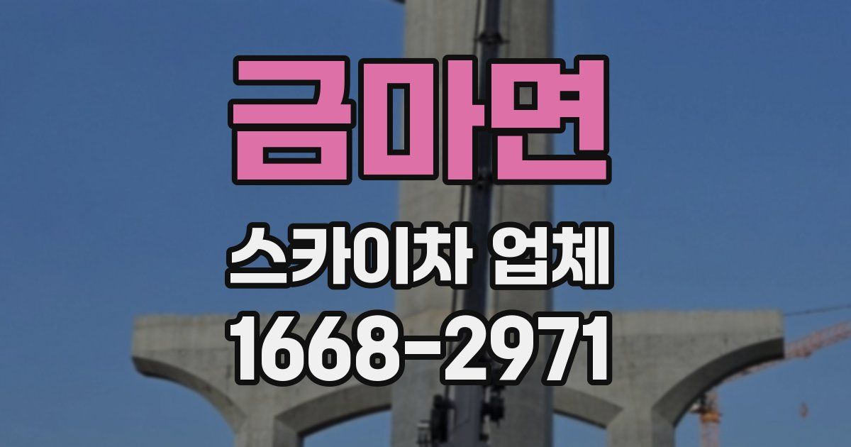 금마면 스카이차 업체