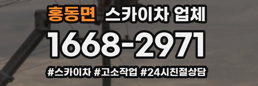 홍동면 스카이차 업체