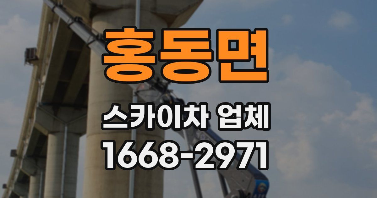 홍동면 스카이차 업체