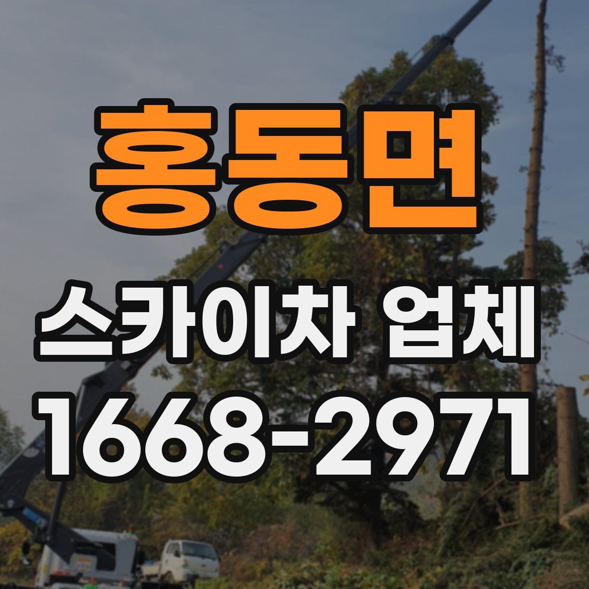 홍동면 스카이차 업체