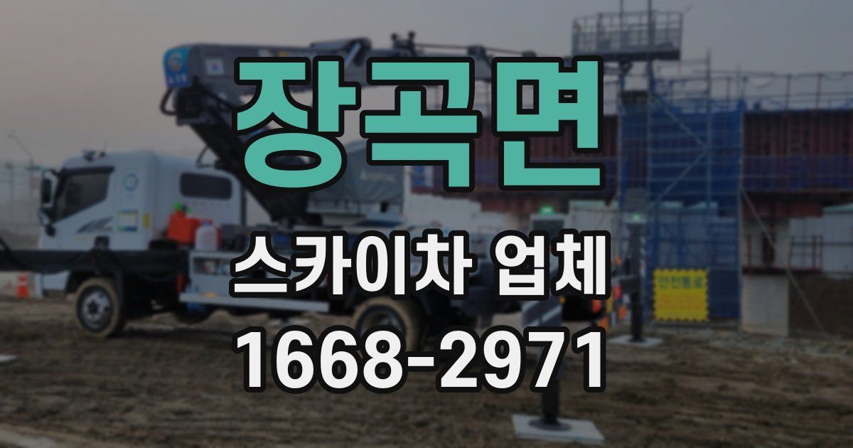 장곡면 스카이차 업체