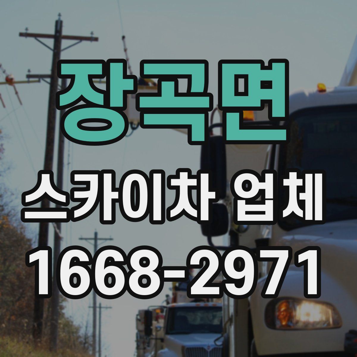 장곡면 스카이차 업체