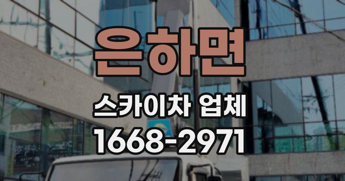 은하면 스카이차 업체