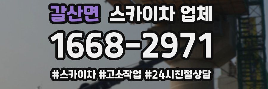갈산면 스카이차 업체