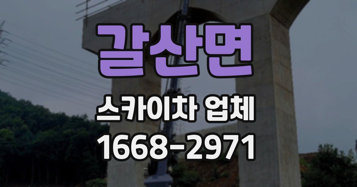 갈산면 스카이차 업체