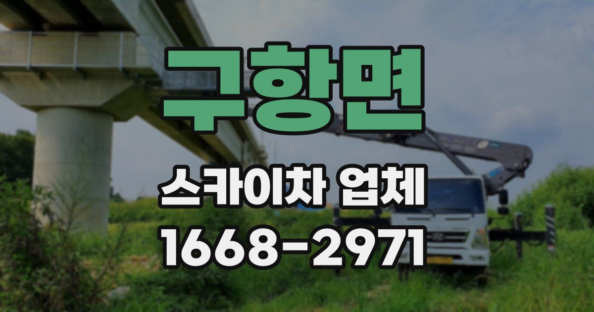 구항면 스카이차 업체