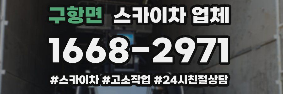 구항면 스카이차 업체