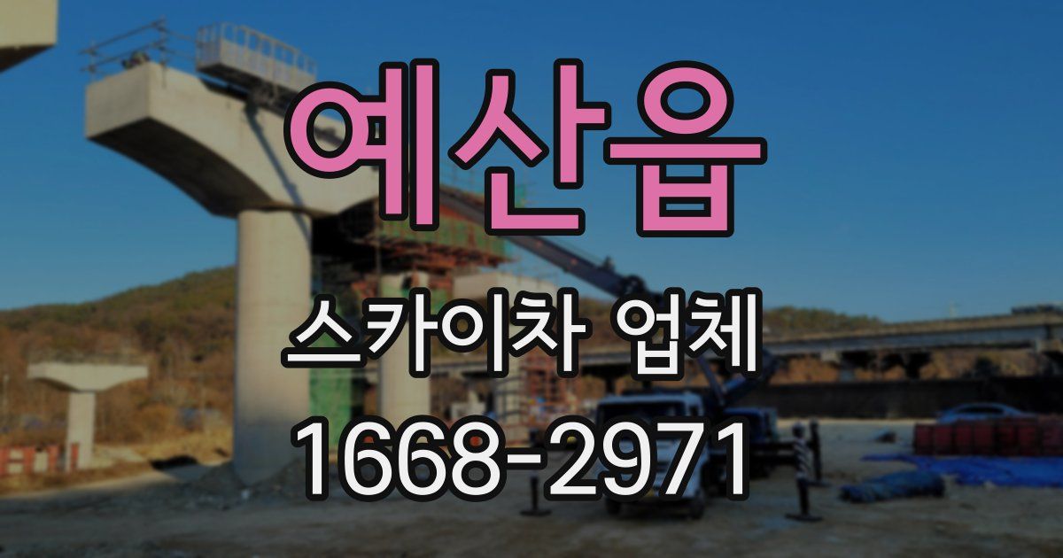 예산읍 스카이차 업체