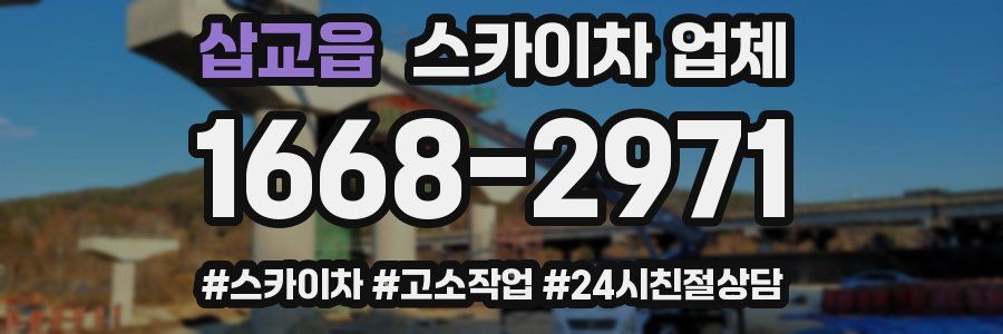 삽교읍 스카이차 업체