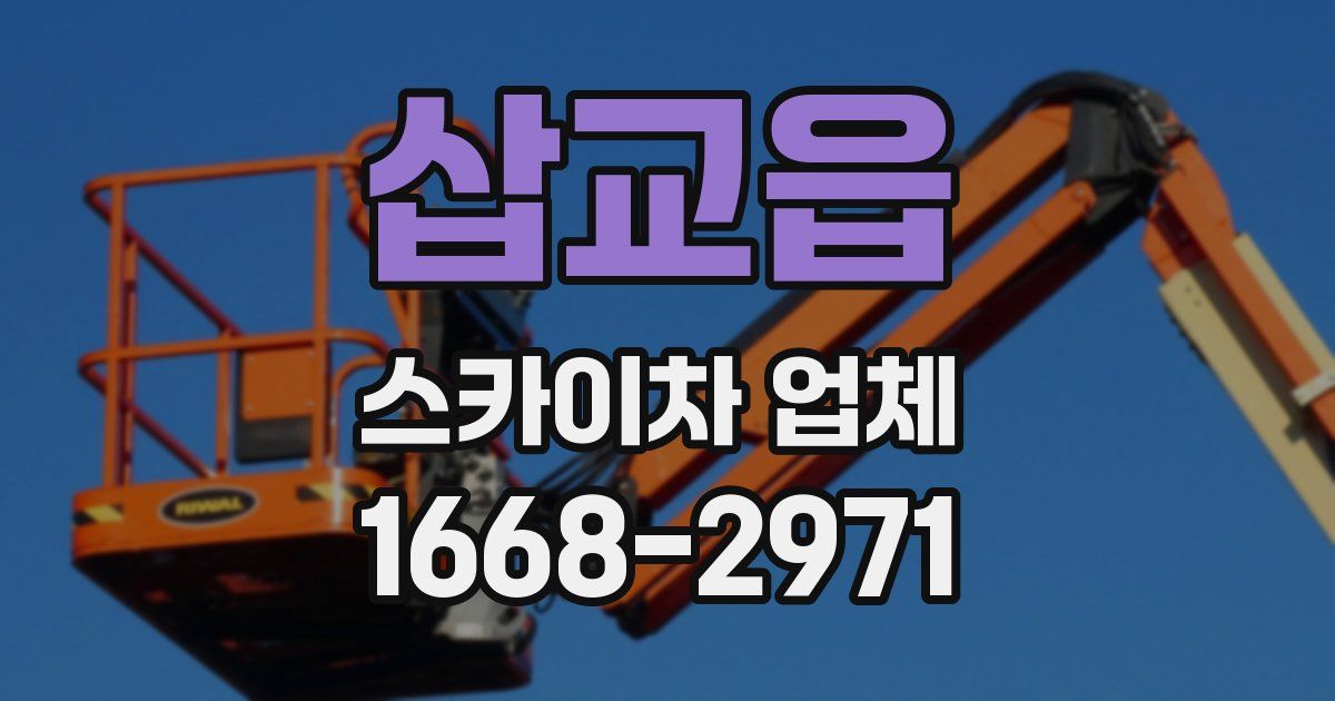 삽교읍 스카이차 업체