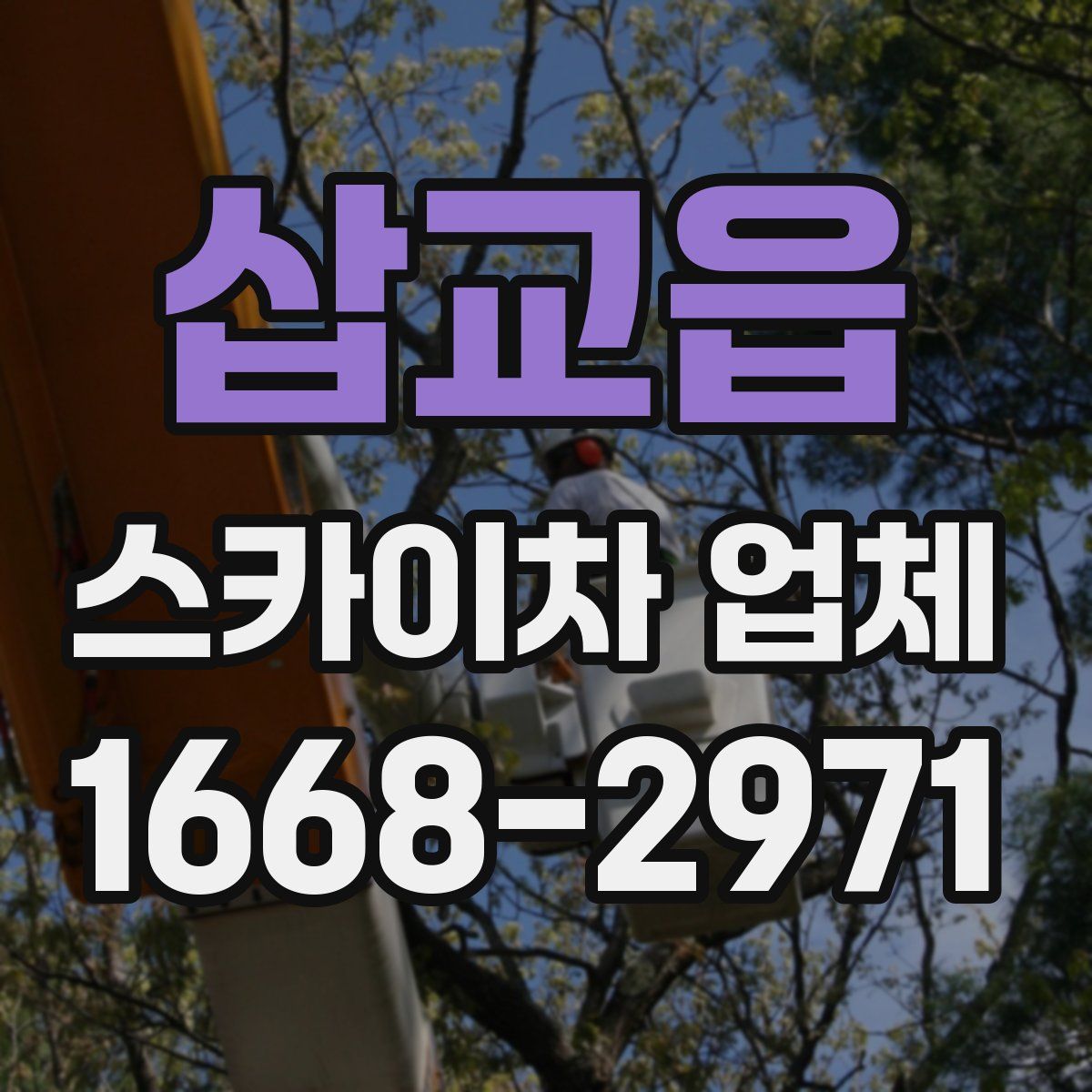 삽교읍 스카이차 업체