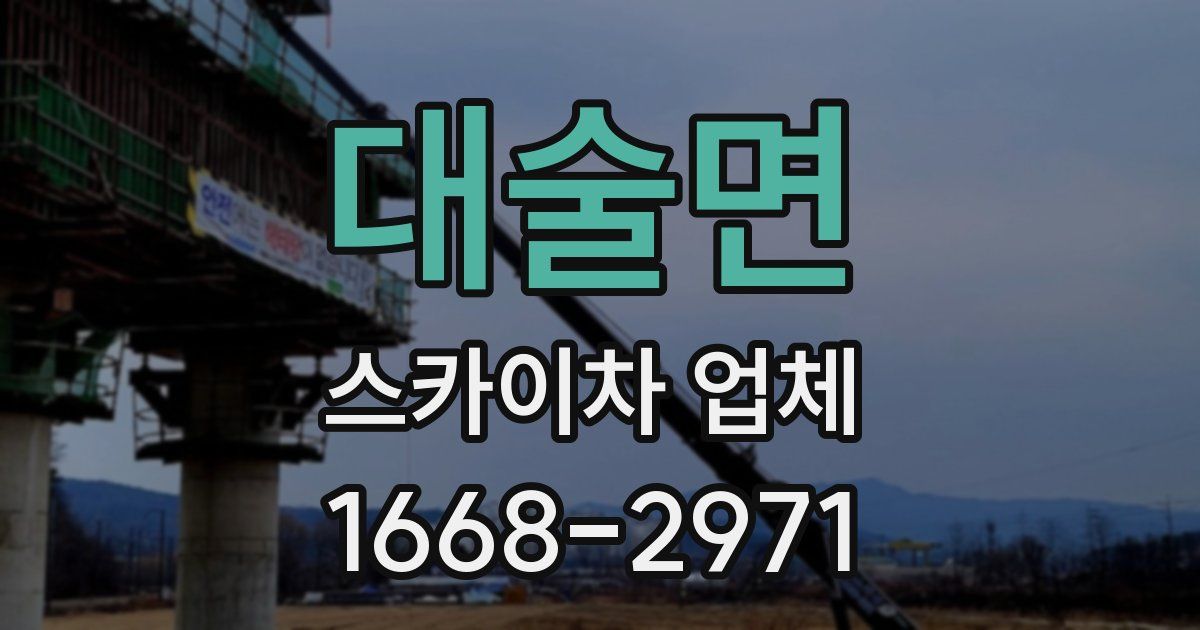 대술면 스카이차 업체