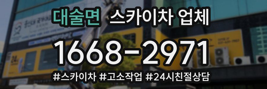대술면 스카이차 업체