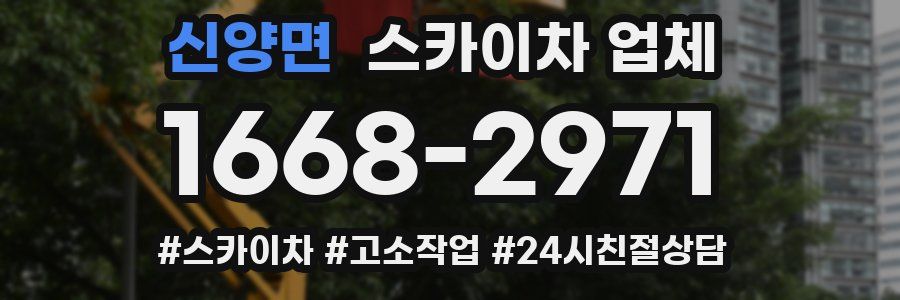 신양면 스카이차 업체