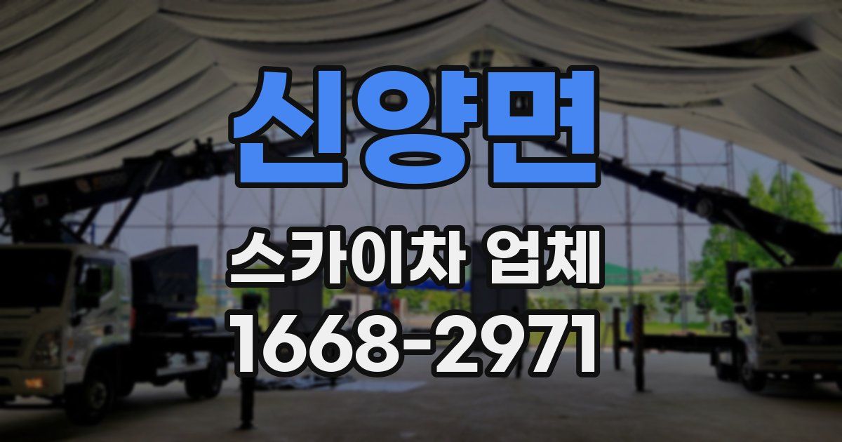 신양면 스카이차 업체