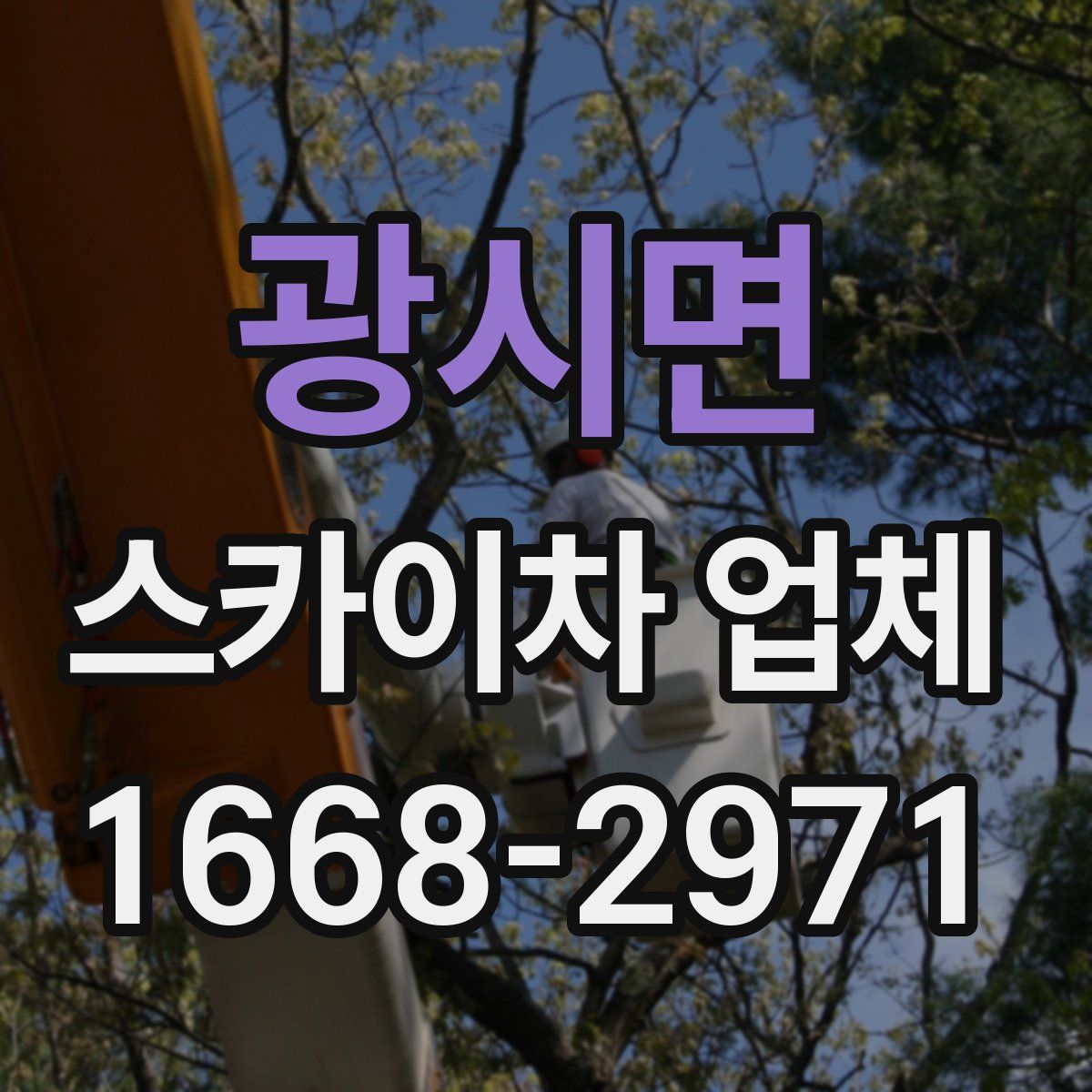 광시면 스카이차 업체