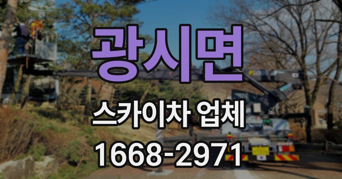 광시면 스카이차 업체