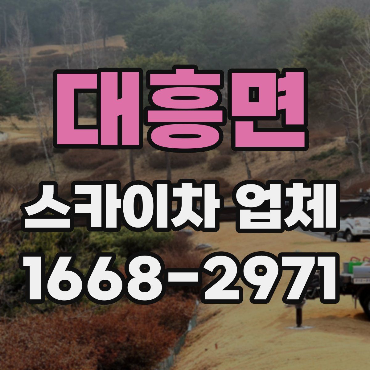 대흥면 스카이차 업체