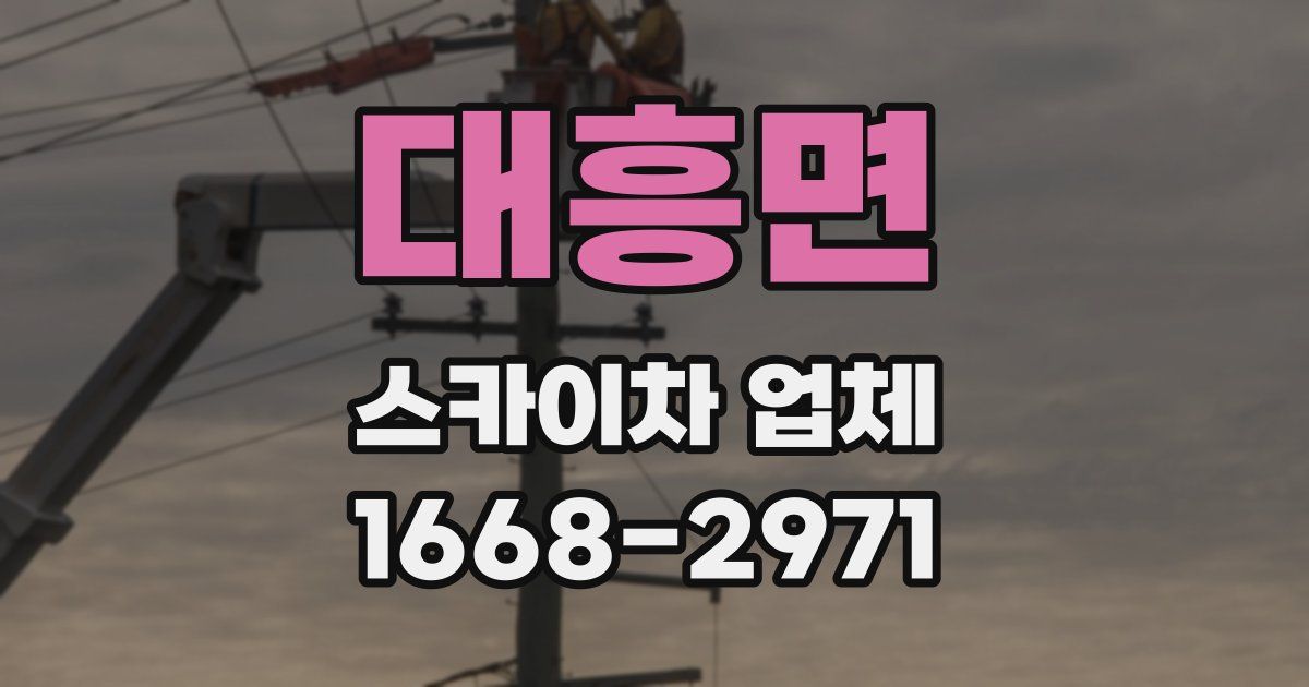 대흥면 스카이차 업체